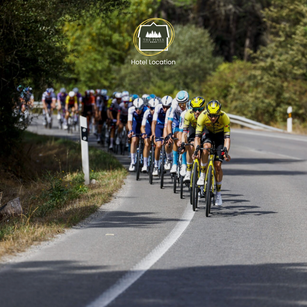 La Vuelta peloton on a Castellon stage, Maestrat Cycling